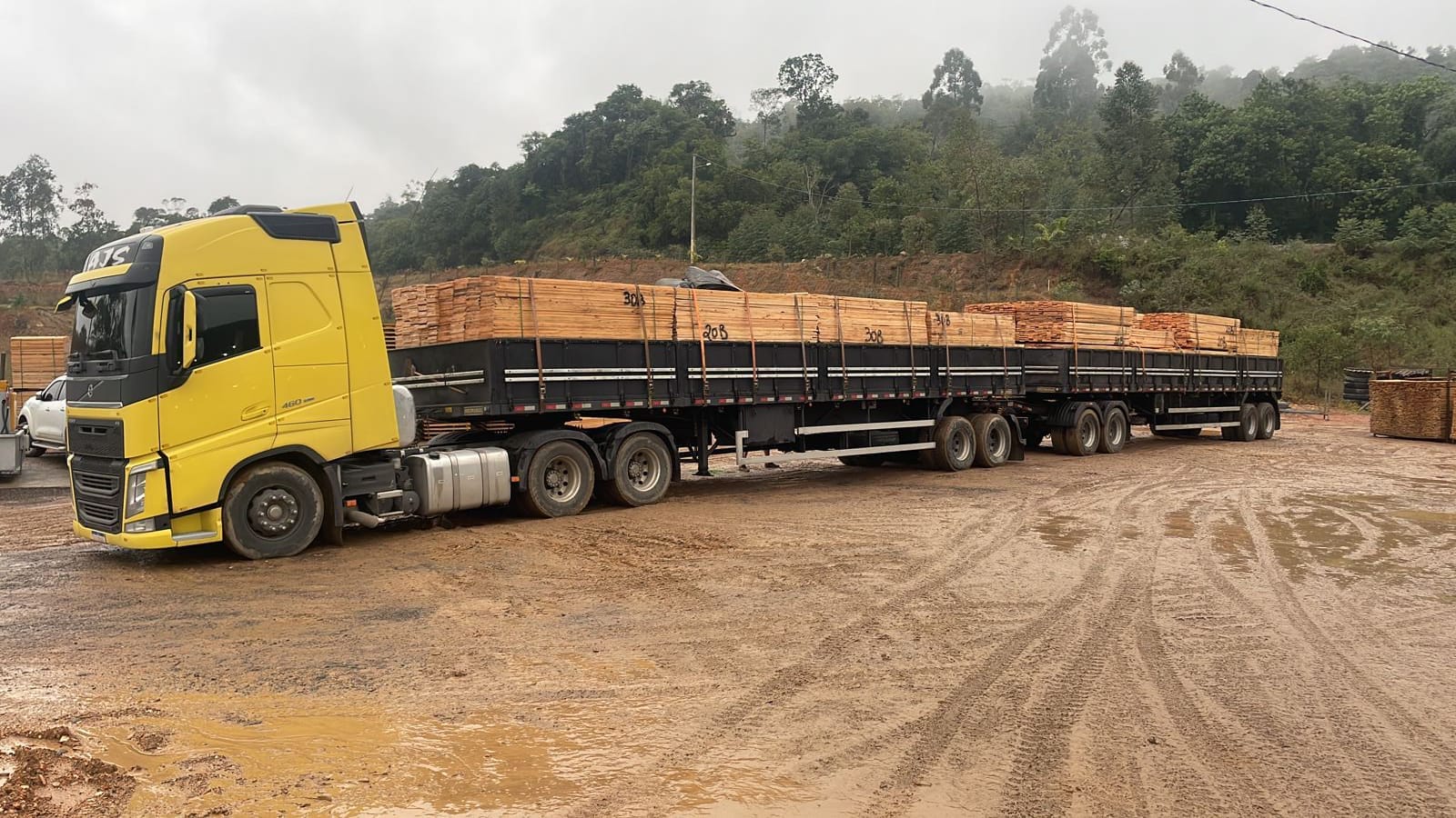 e335147a-2d07-4cba-99c0-709ad8931a41